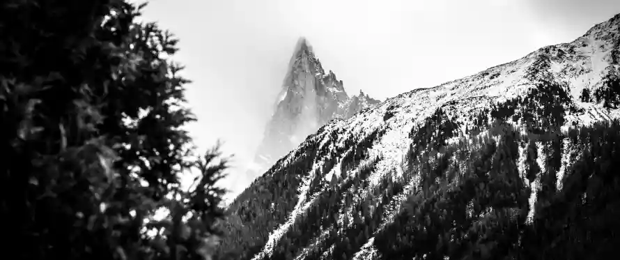 4k森林壁纸 - 雪山 - 电脑壁纸 - wallpaper「哲风壁纸」