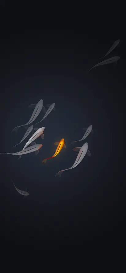 Favorite Image