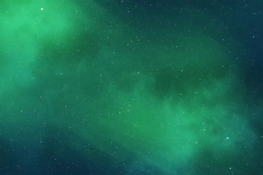Favorite Image