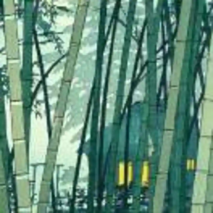 沐的头像