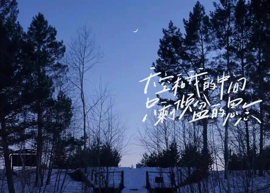 4k手写壁纸 - 风景 - 电脑壁纸 - wallpaper「哲风壁纸」