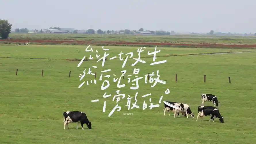 2k手写壁纸-风景壁纸和-免费下载「哲风壁纸」