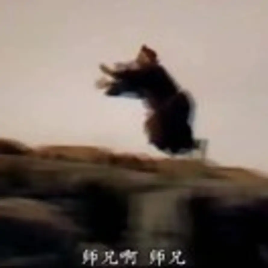 望月的头像