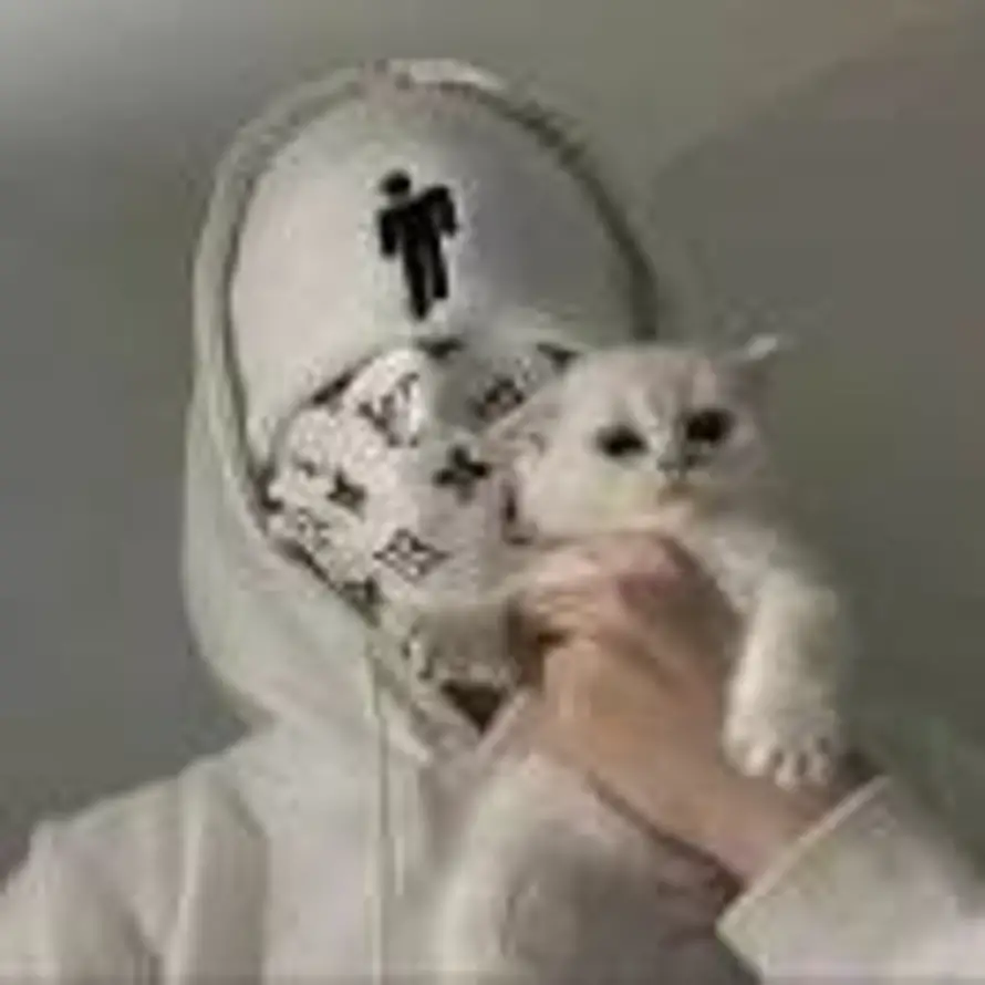 一条秋刀鱼的头像