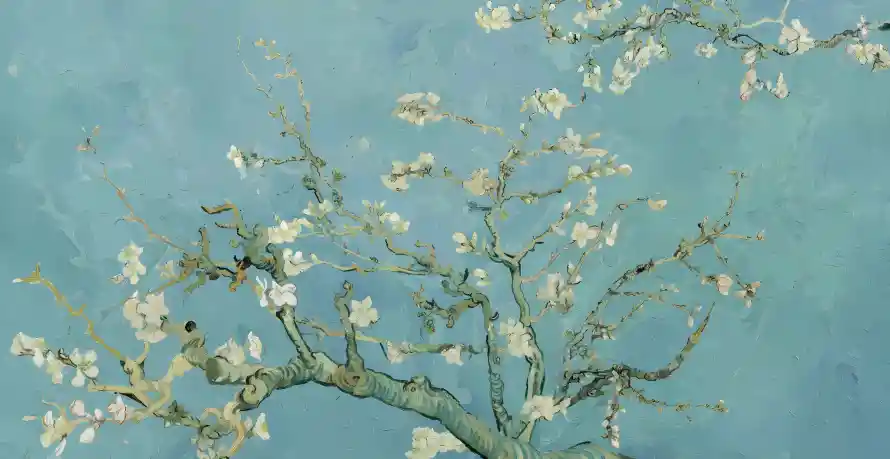 4k插画壁纸-花壁纸和-热门的壁纸「哲风壁纸」