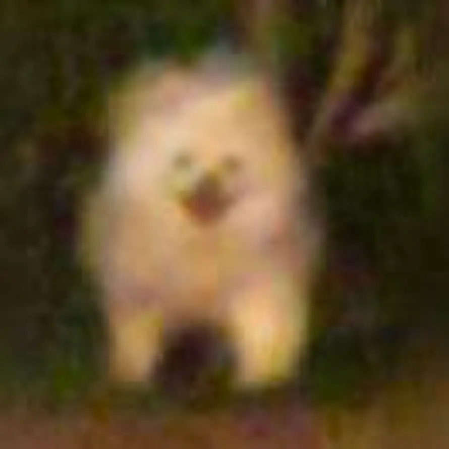 呜诶的头像