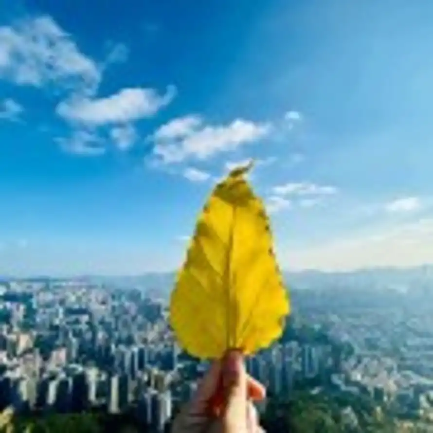与你的头像