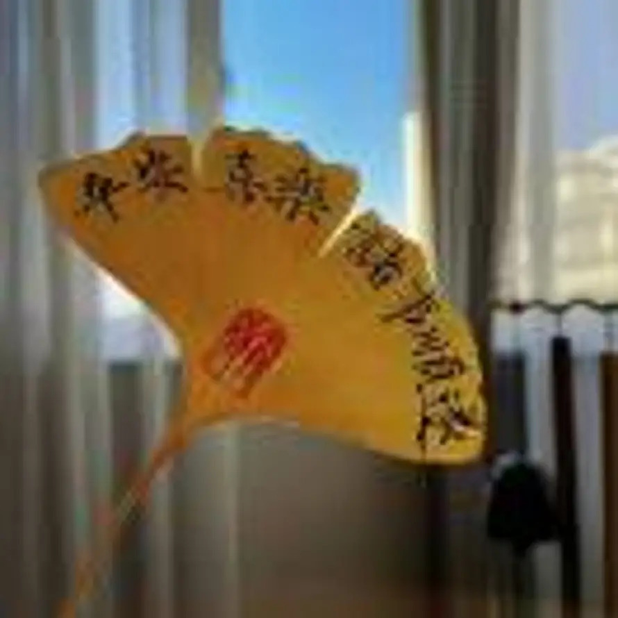 K的头像