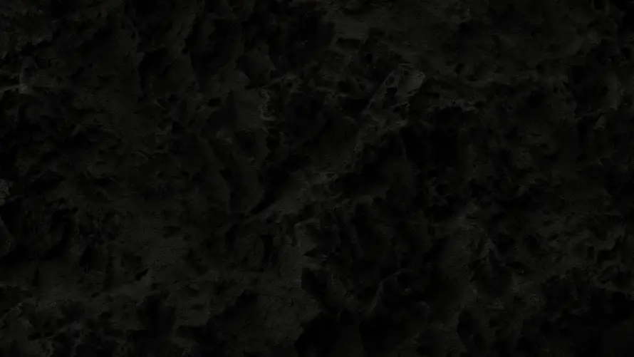 Favorite Image