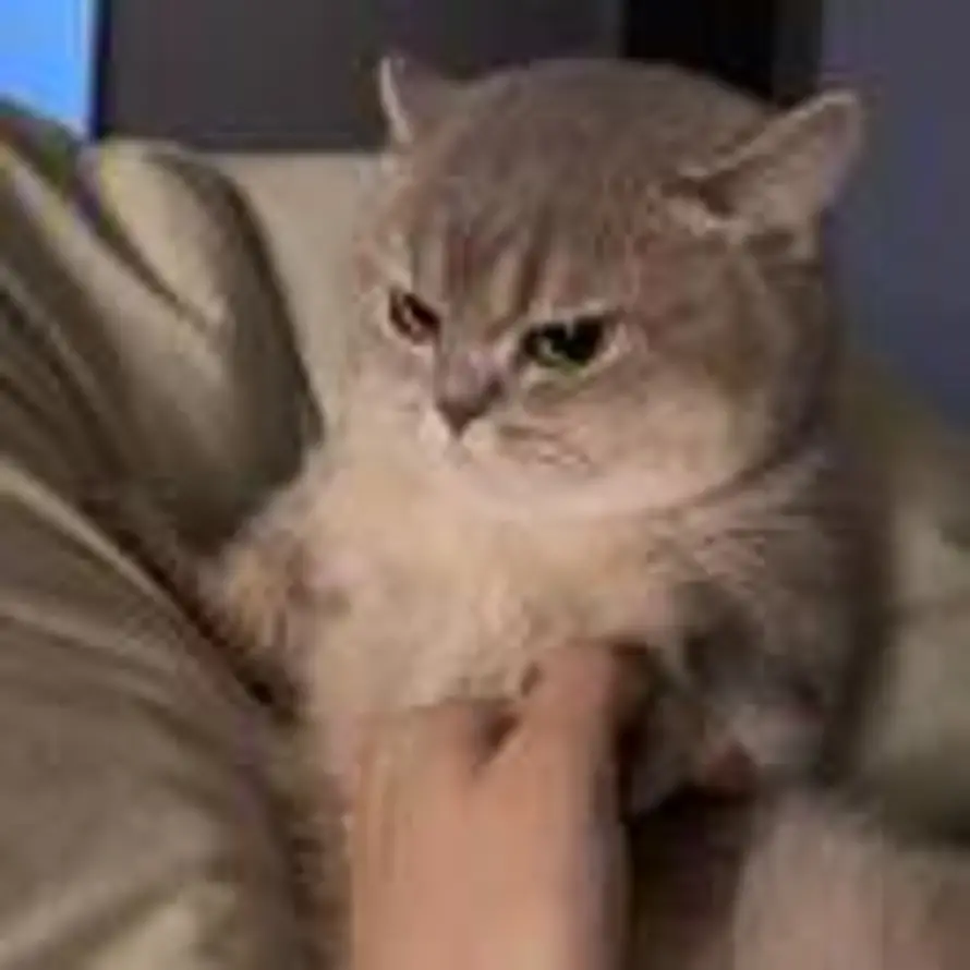 Edgar的头像