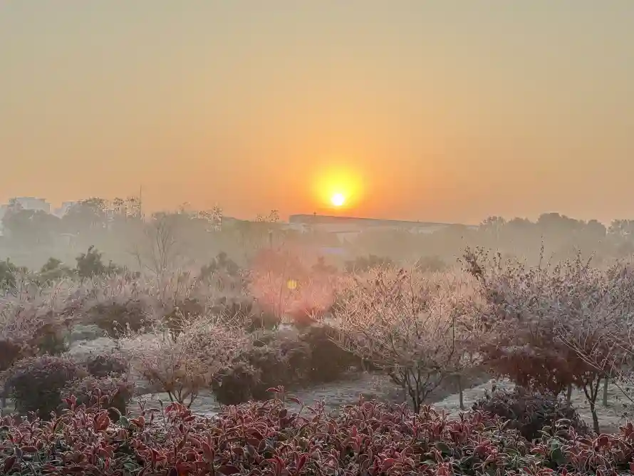4k初升壁纸 - 风景 - 电脑壁纸 - wallpaper「哲风壁纸」