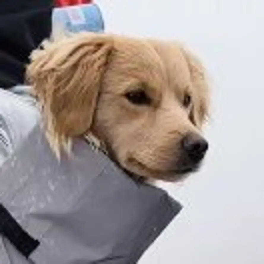 彭雨东的头像