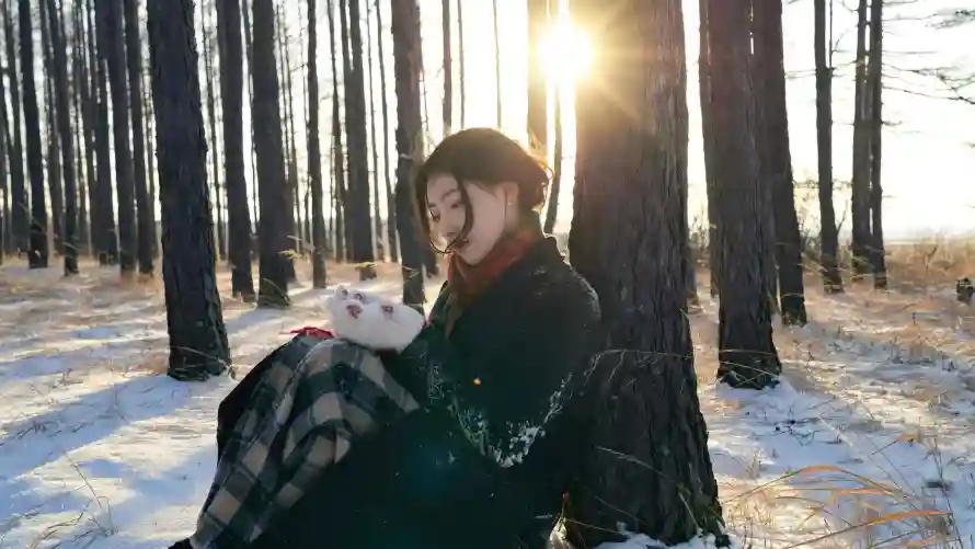 2k唯美壁纸-静坐和美女-热门的壁纸「哲风壁纸」