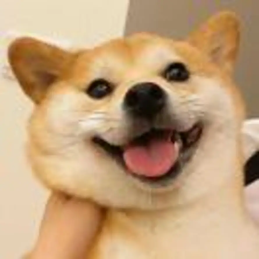 W的头像