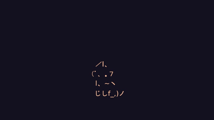 4k动物壁纸 - 猫 - 极简主义 - 简单的背景「哲风壁纸」