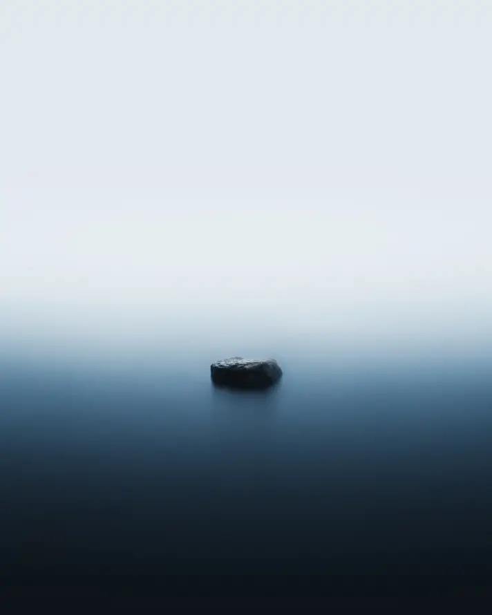 Favorite Image
