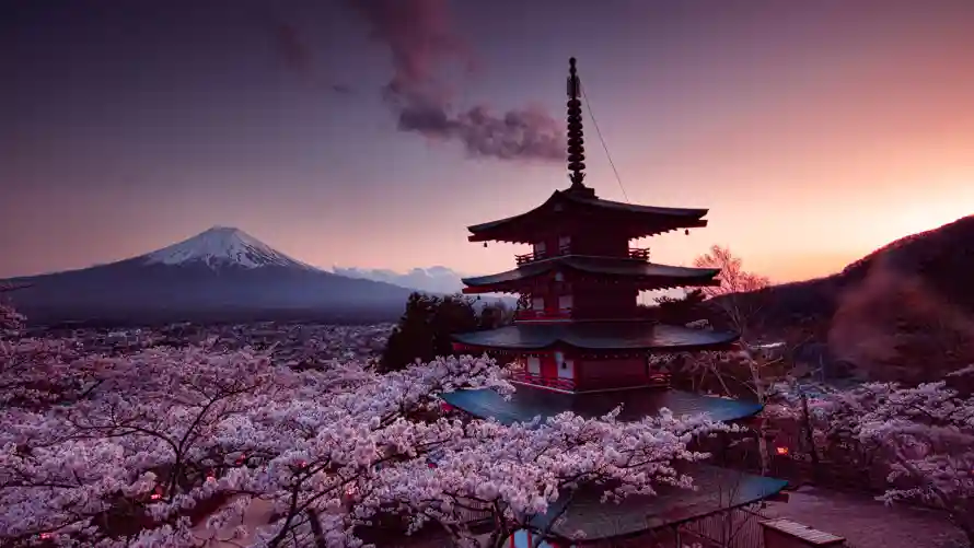 4k日落壁纸 - 樱花 - 古建筑 - 富士山「哲风壁纸」