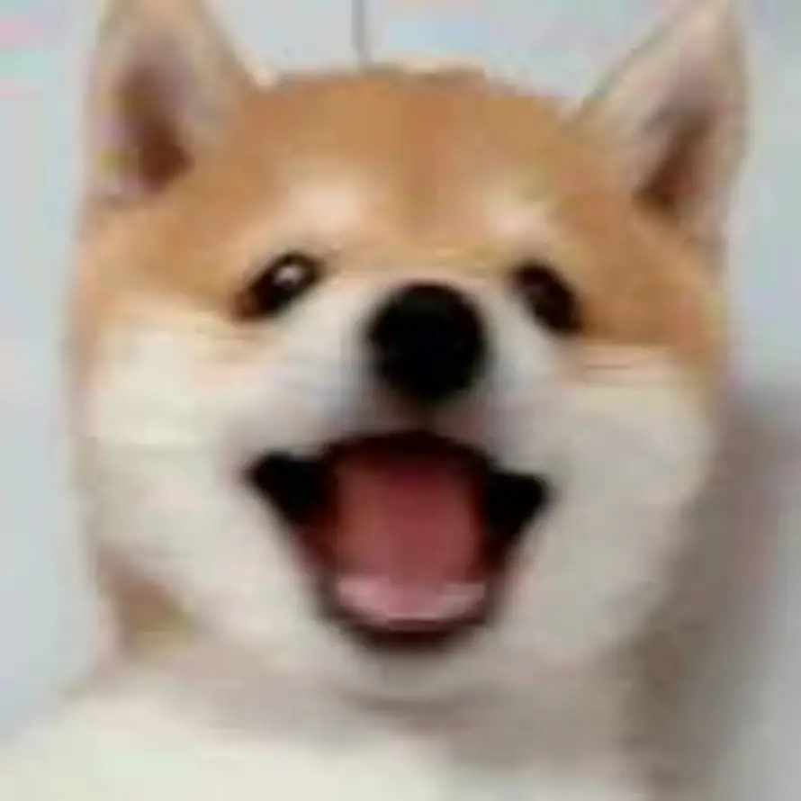 Asuka的头像