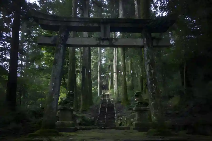 4k森景壁纸 - 幽谧风 - 日本神社 - 神社牌坊「哲风壁纸」 4k森景壁纸 - 幽谧风 - 日本神社 - 神社牌坊「哲风壁纸」