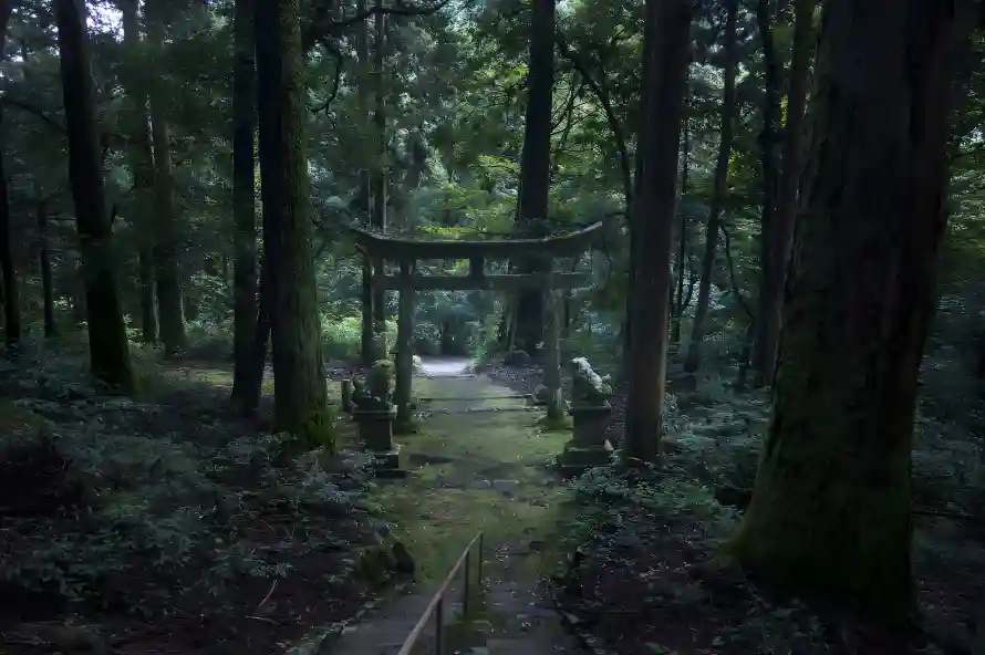 4k丛林风光壁纸 - 山间丛林 - 日本神社 - 森林神社「哲风壁纸」