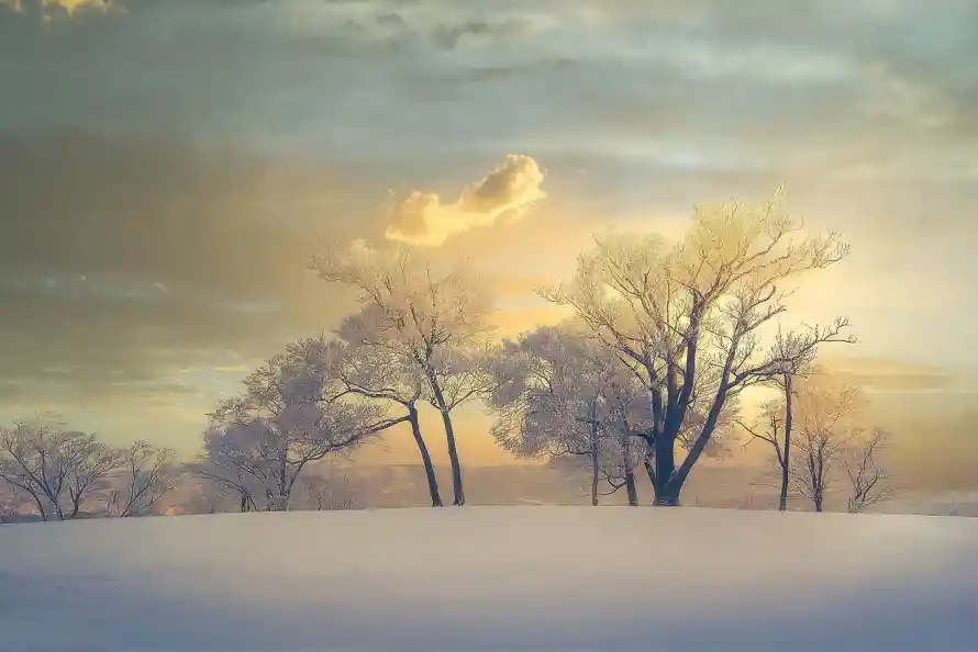 4k冬日壁纸 - 落日 - 雪景 - 高清「哲风壁纸」