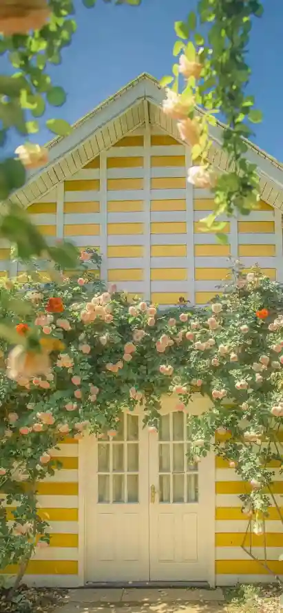 4k小屋壁纸 - 花 - 烂漫 - 花墙「哲风壁纸」