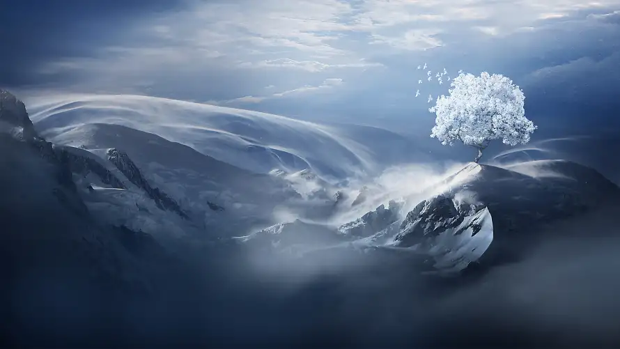 4k孤树壁纸 - 自然 - 雪景 - 风景「哲风壁纸」