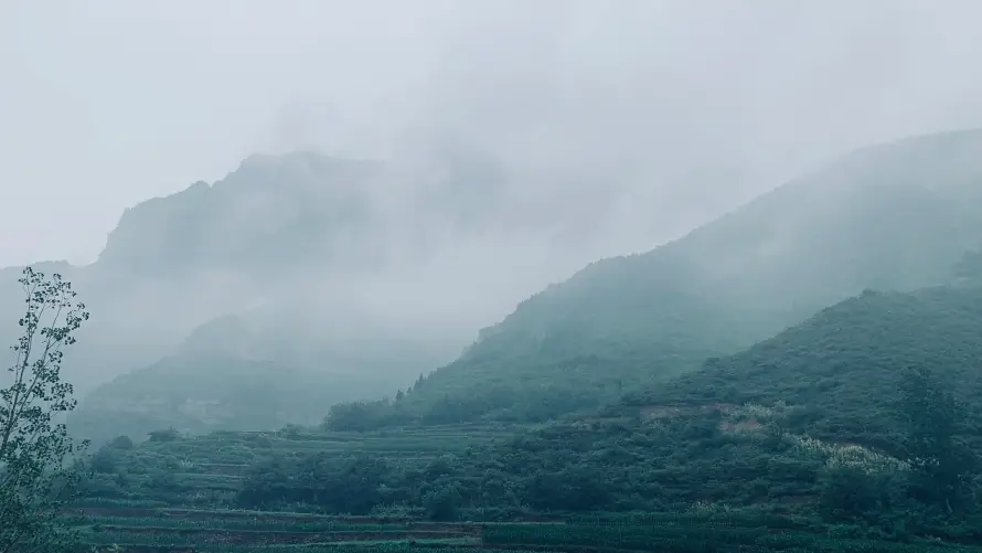 4k山景壁纸 - 山 - 雾 - 山林「哲风壁纸」