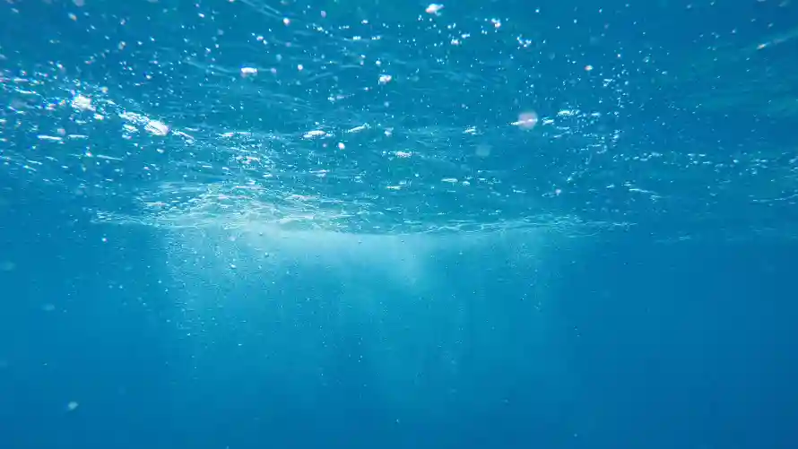 4k景观壁纸 - 海 - 水下 - 水底「哲风壁纸」 4k景观壁纸 - 海 - 水下 - 水底「哲风壁纸」