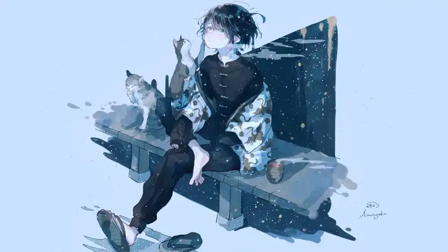 4k猫咪壁纸 - 猫 - 背景 - 雪景「哲风壁纸」 4k猫咪壁纸 - 猫 - 背景 - 雪景「哲风壁纸」