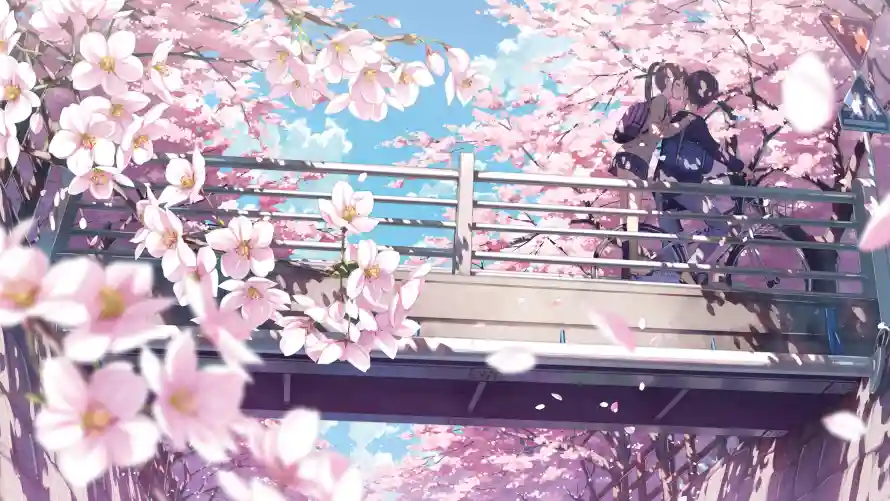 4k动漫壁纸 - 樱花 - 唯美风 - 动漫壁纸「哲风壁纸」
