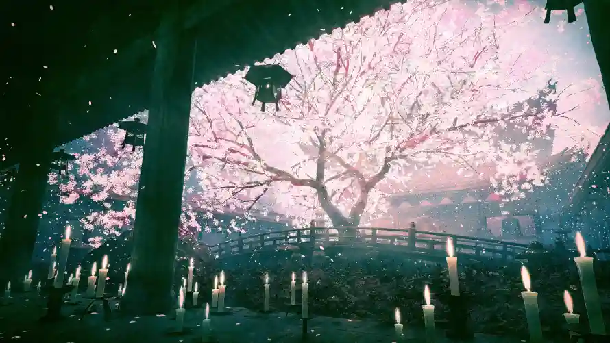 4k动漫壁纸 - 场景 - 夜景 - 樱花「哲风壁纸」