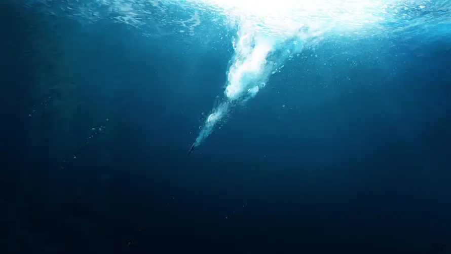 4k景象壁纸 - 梦幻 - 水下 - 海洋「哲风壁纸」 4k景象壁纸 - 梦幻 - 水下 - 海洋「哲风壁纸」