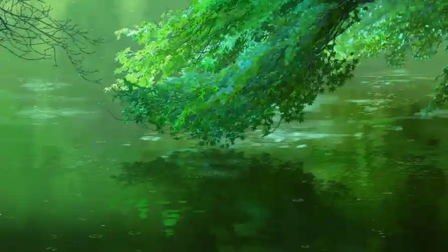 4k枫叶壁纸 - 水面 - 清新 - 绿叶「哲风壁纸」 4k枫叶壁纸 - 水面 - 清新 - 绿叶「哲风壁纸」