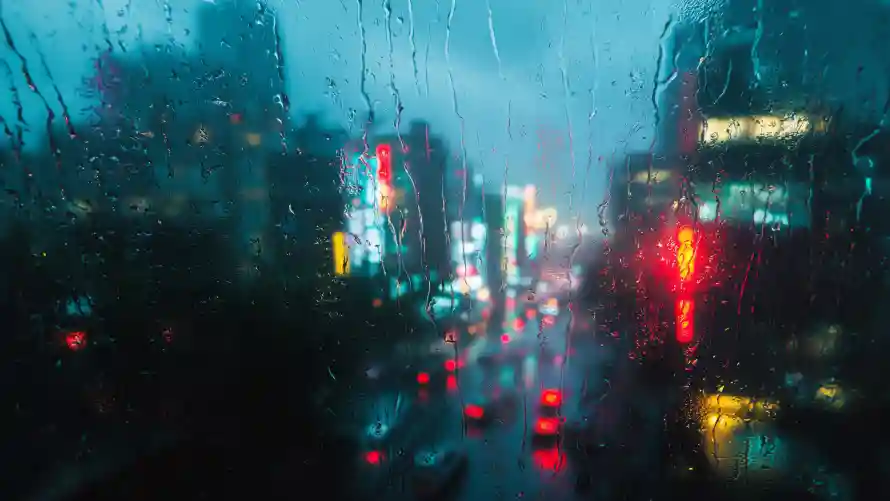 Favorite Image
