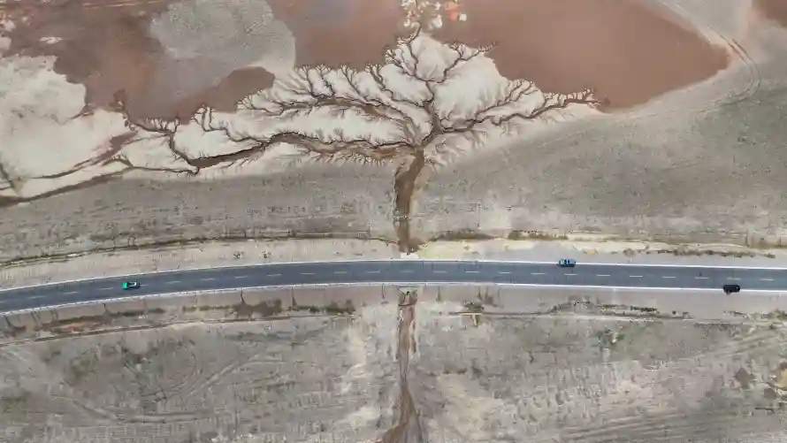 4k俯视壁纸 - 公路 - 枯树 - 风景「哲风壁纸」 4k俯视壁纸 - 公路 - 枯树 - 风景「哲风壁纸」