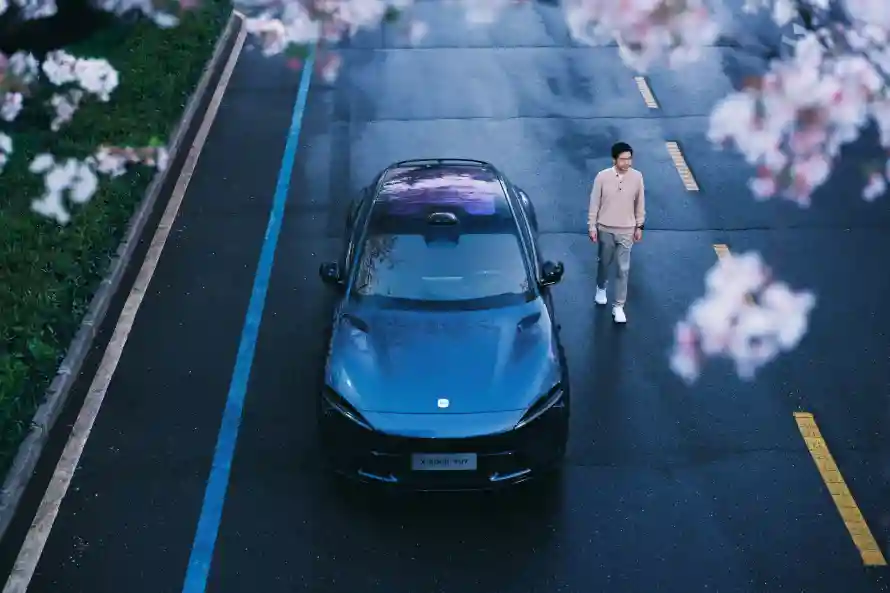 4k樱花壁纸 - 雷军 - 小米suv - 小米yu7「哲风壁纸」