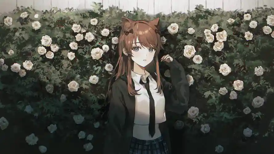 4k背景壁纸 - 花海 - 二次元 - 兽耳娘「哲风壁纸」