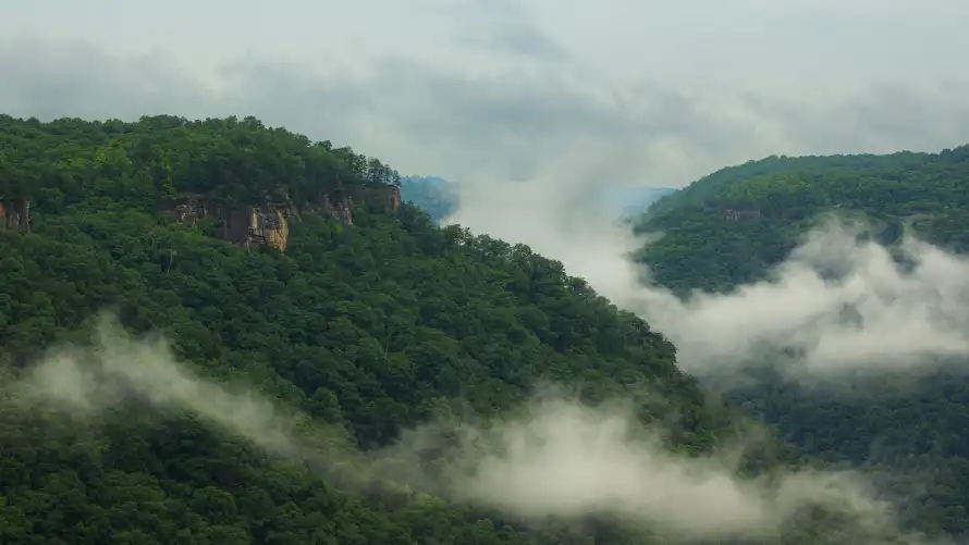 4k云雾壁纸 - 山峦 - 森林 - 美景「哲风壁纸」