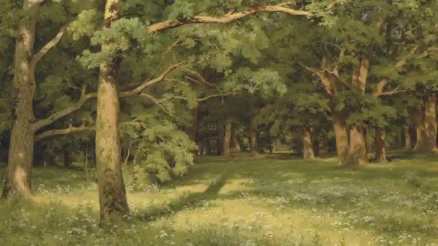 4k森林壁纸 - 油画 - 美景 - 自然「哲风壁纸」