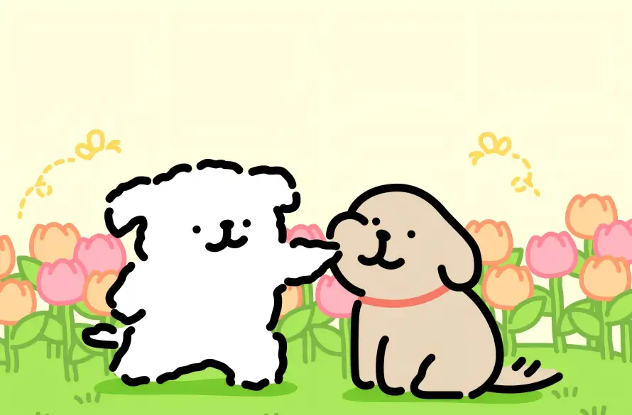 Favorite Image