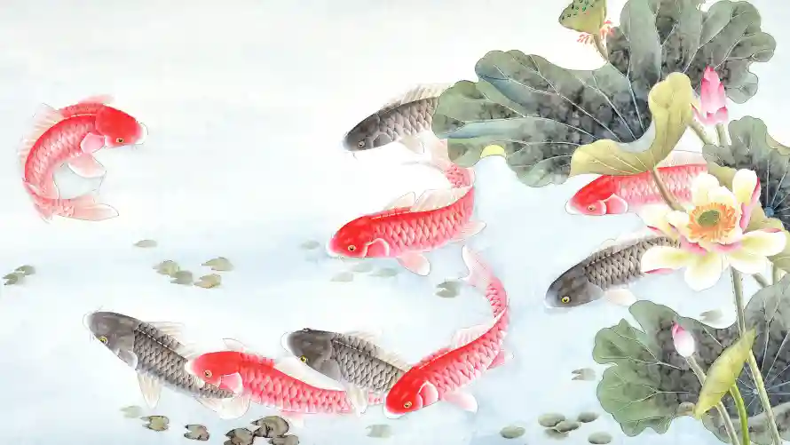 4k中式壁纸-鲤鱼壁纸和莲花-壁纸推荐「哲风壁纸」