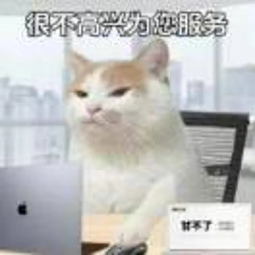 森然法师小雨的头像