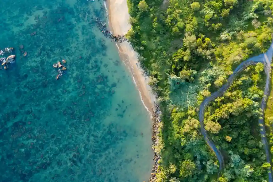 4k俯视壁纸 - 森林 - 海岸 - 海洋「哲风壁纸」