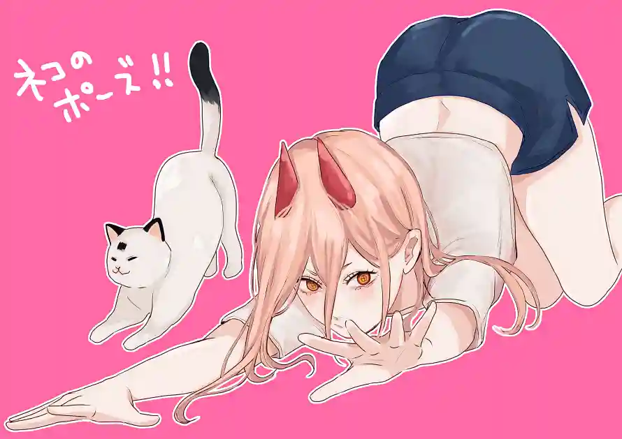 4k少女壁纸 - 猫咪 - 电锯 - 萌趣「哲风壁纸」
