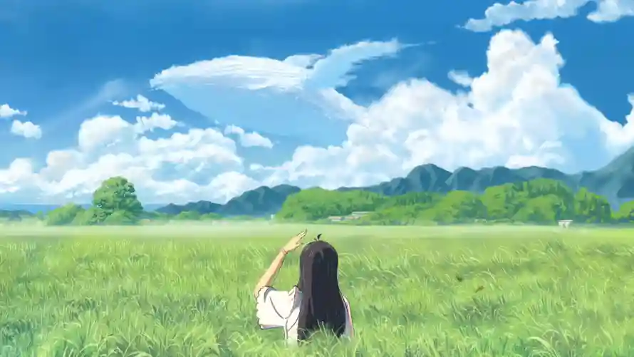 4k夏天壁纸 - 女孩 - 草原 - 赏景「哲风壁纸」
