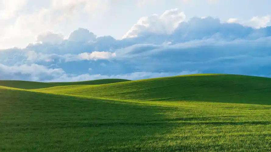 Favorite Image