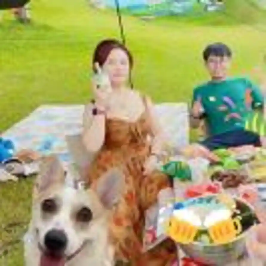 用户🎣SHR?的头像