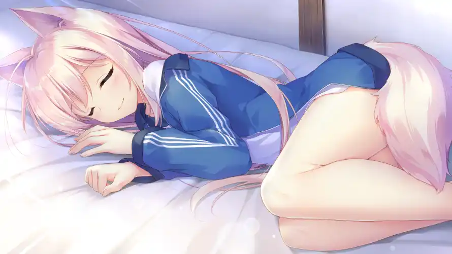4k老婆壁纸 - 二次元 - 兽耳少女 - 粉色兽耳「哲风壁纸」
