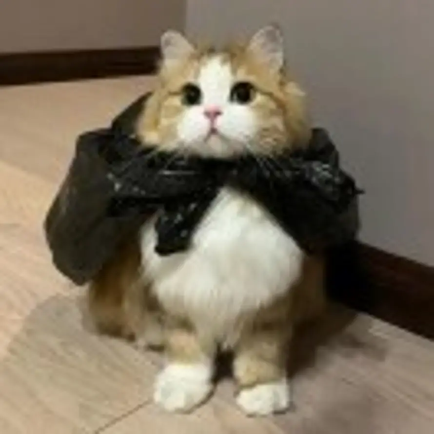 Beholder的头像